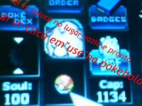 /album/chamando-o-pokemon/a100911-1229-jpg/